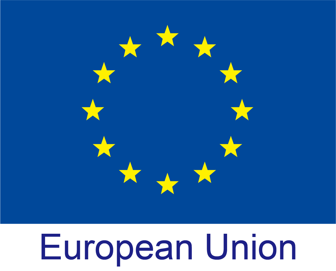 European Union Logo